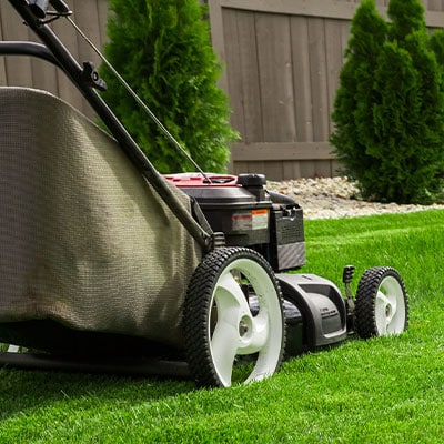 Lawn Care